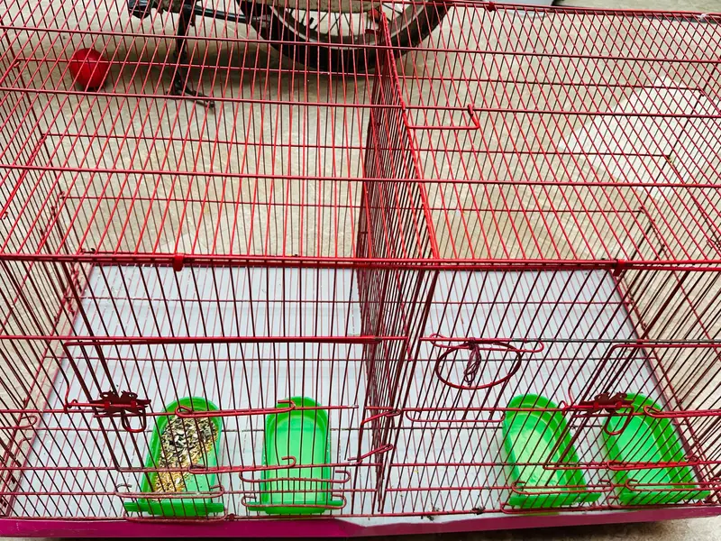 birds double cage for sale — photo 6
