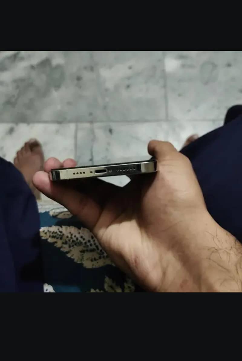 Apple iPhone 12 Pro Max 2