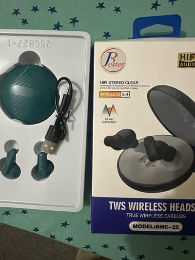 Rester air buds