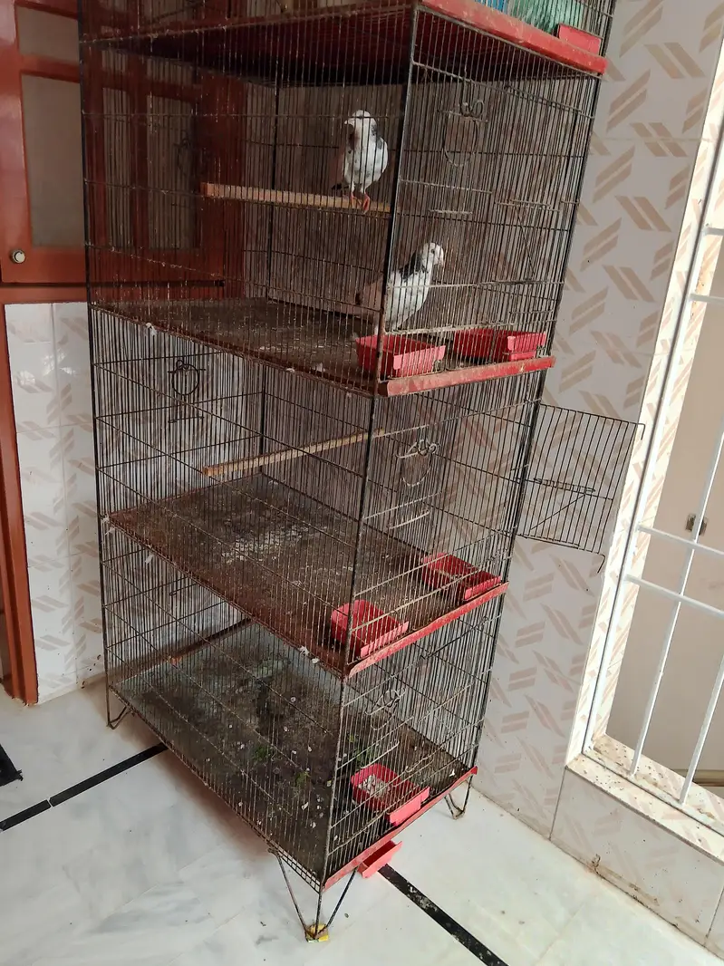 4 portion Cage — photo 2