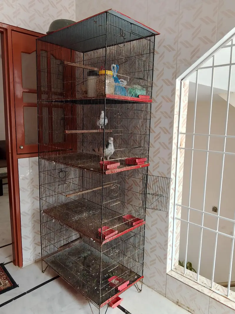 4 portion Cage — photo 3