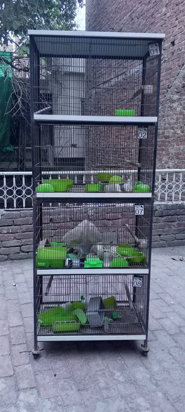 Cages 0