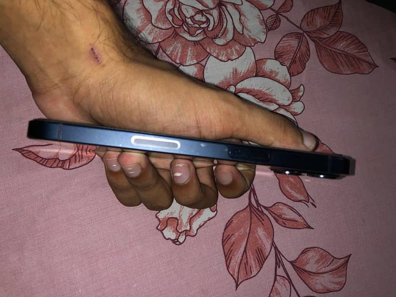 Apple iPhone 13 3