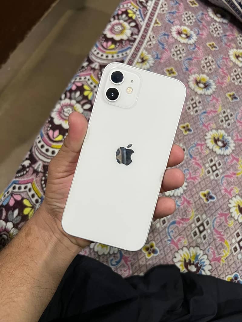 Apple iPhone 12 1