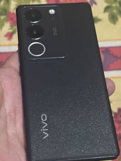 vivo v29 5g bilkol new jess hy urgent sell pta oproved daba charger st
