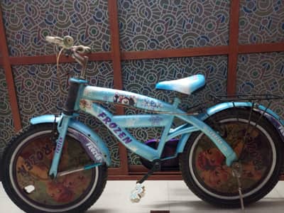 ORIGINAL FROZEN IMPORTED BYCYCLE