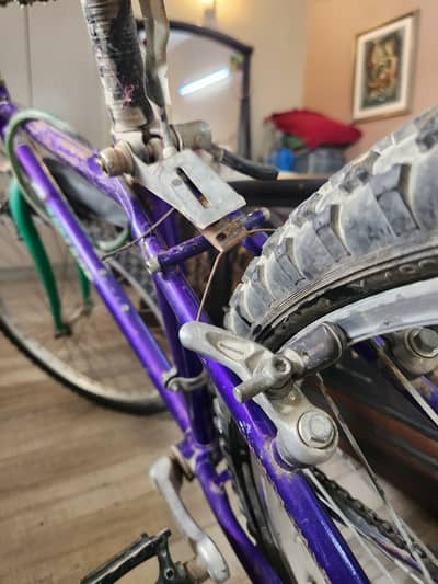 Original Malaysian cycle