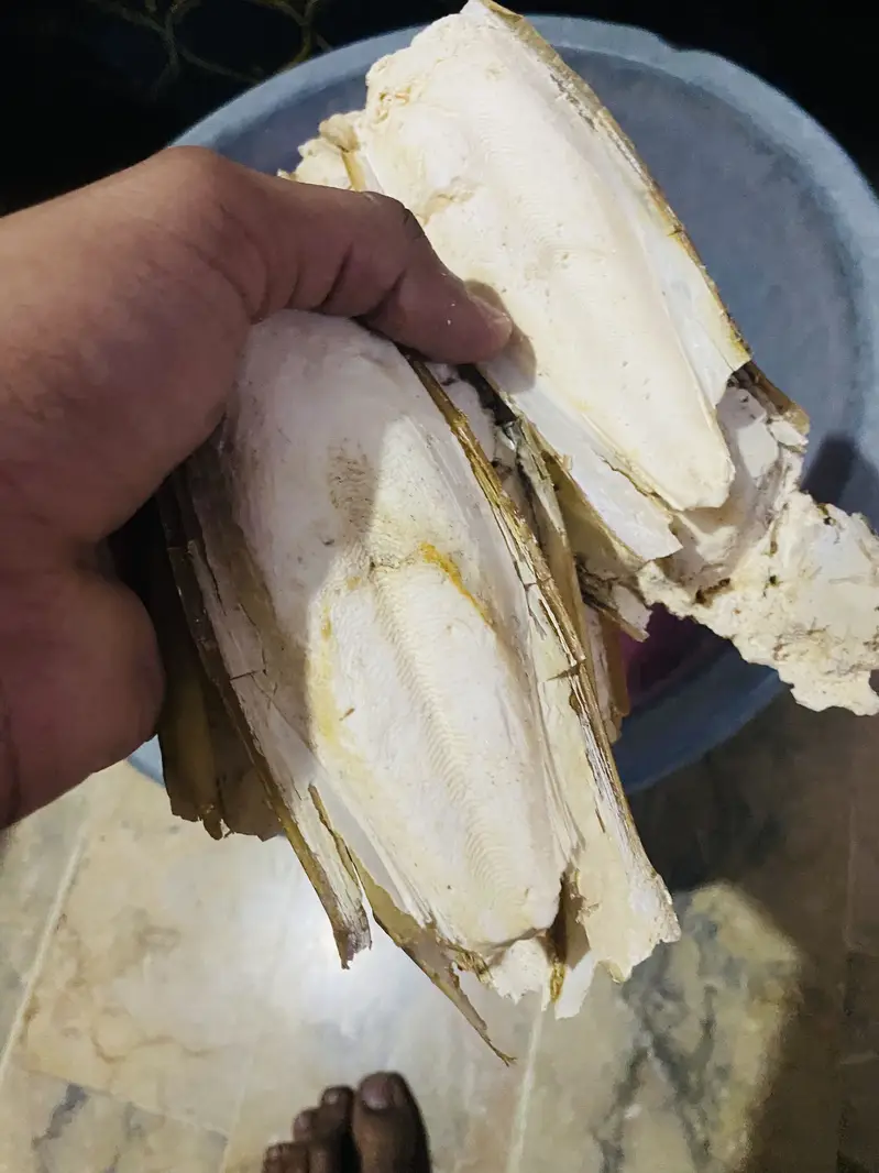 Fish kettle bone