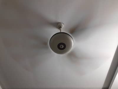 Pak fans ceiling fan