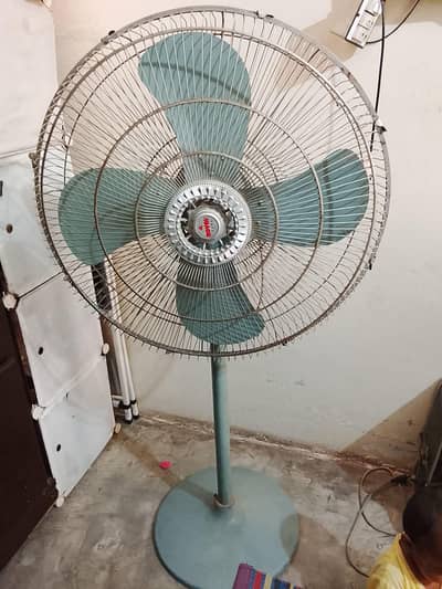 royal fan