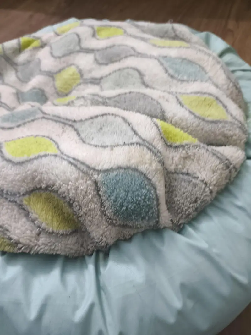 cat or dog bed — photo 3