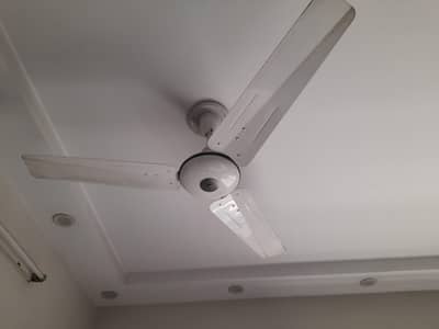 Pak fans ceiling fan