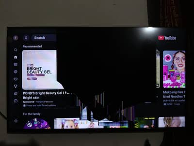 Haier 43" LED (Panel Damage)