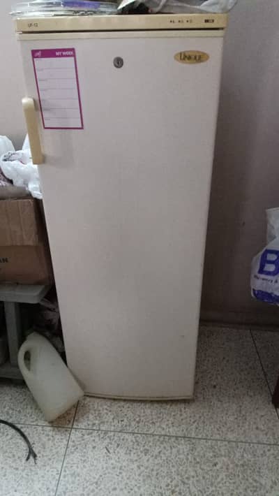Unique brand standing vertical freezer
