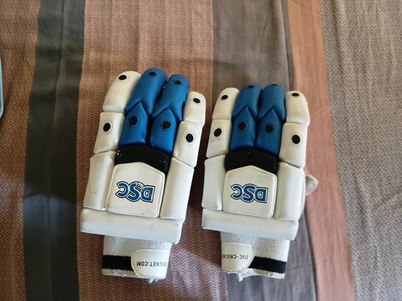 Cricket kit 4