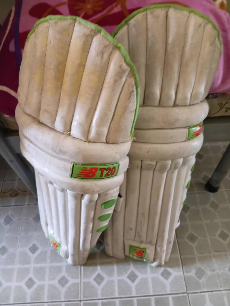 Cricket kit 6