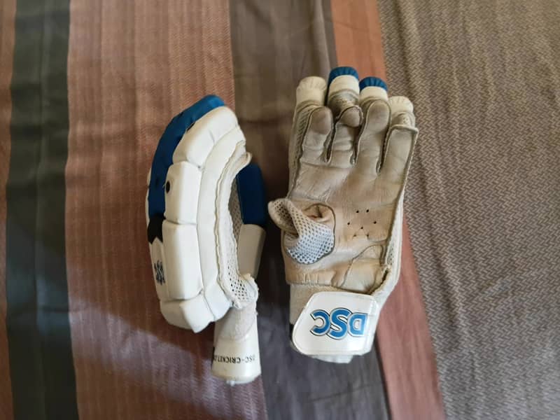 Cricket kit 5