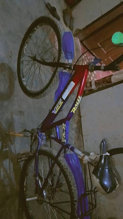 cycle used