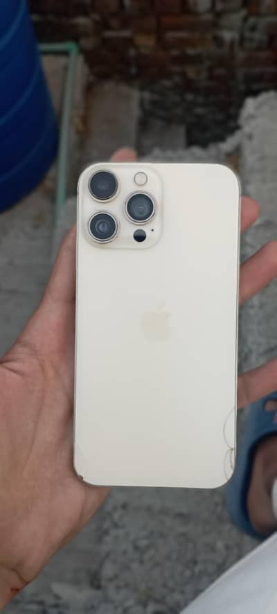 Apple iPhone XR converted into 13 pro