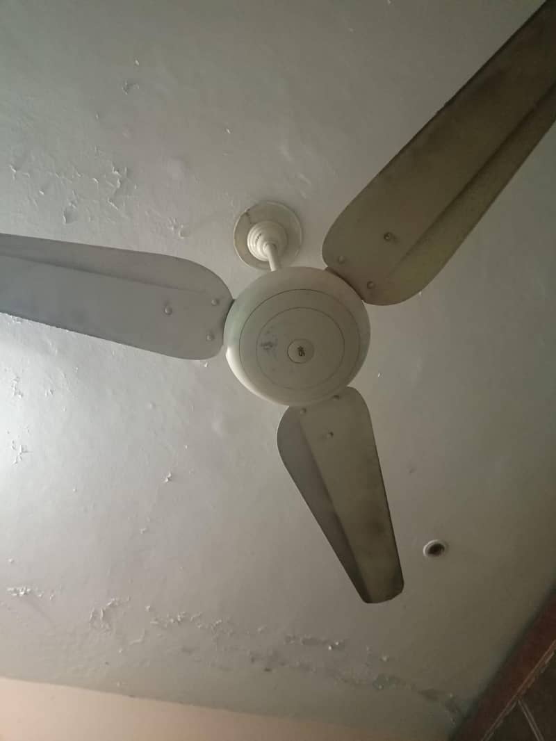 Ceiling Fan 0