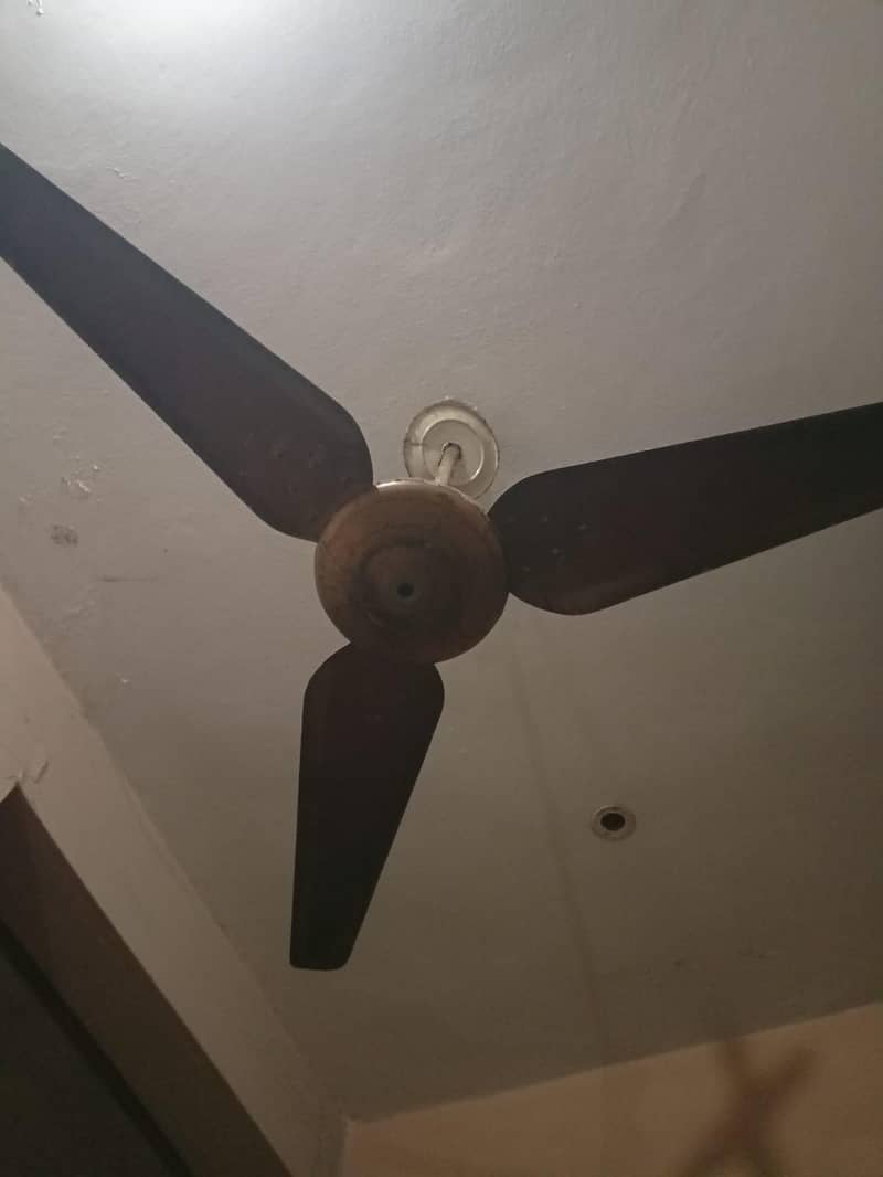 Ceiling Fan 1