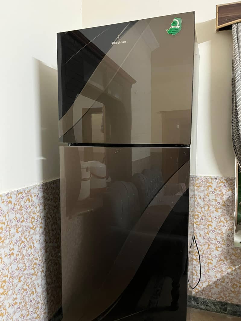 Electrolux Refrigerator 0