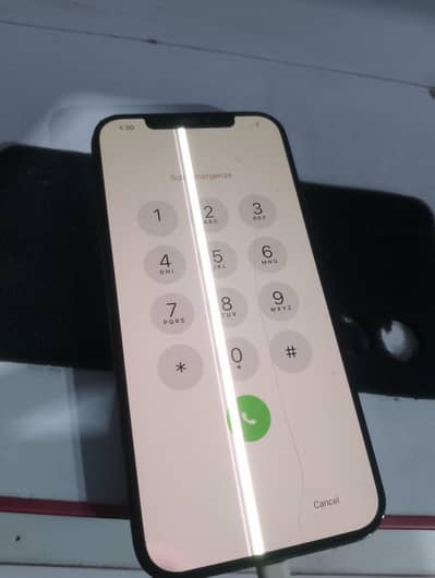 Apple iPhone 12 Pro Max