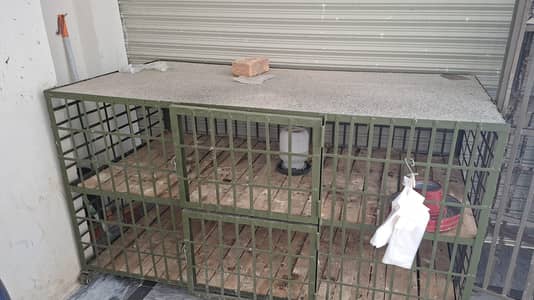 poultry cage پنجرہ + scale کانٹا + drum