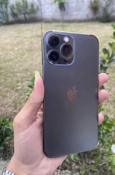 Apple iPhone 13 Pro Max chance