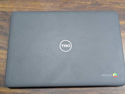 DELL 3100