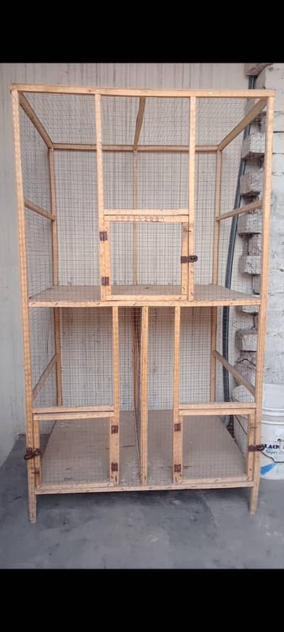 Budgies parrot or cage