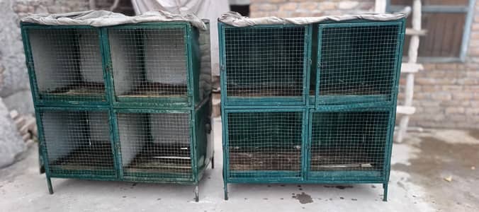 Aseel Cages