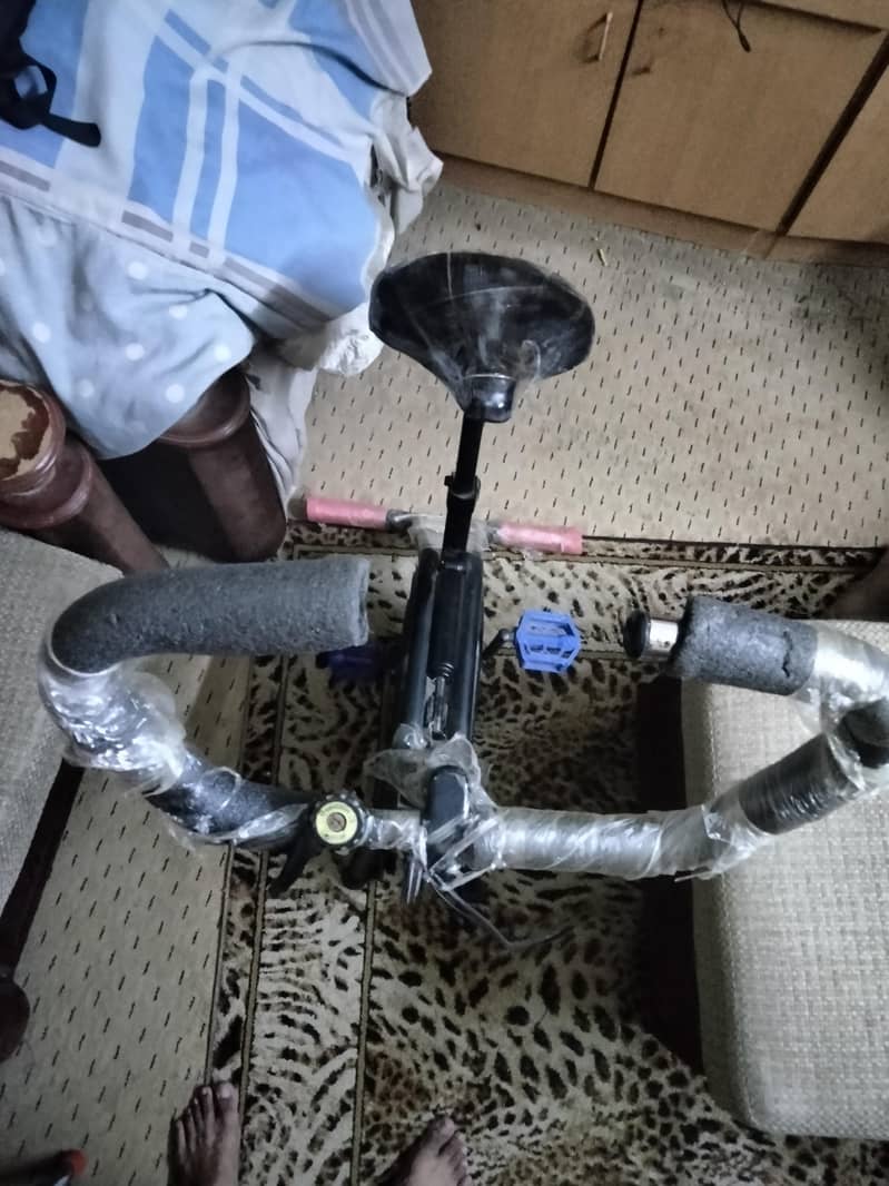 bicycle 1
