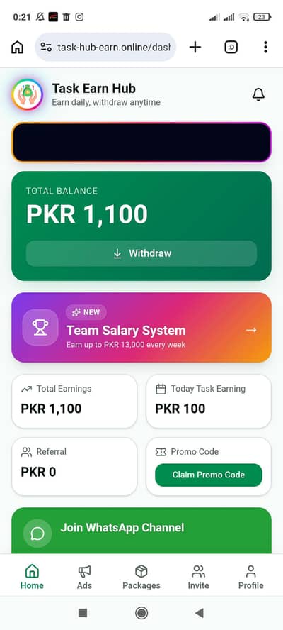 online earning