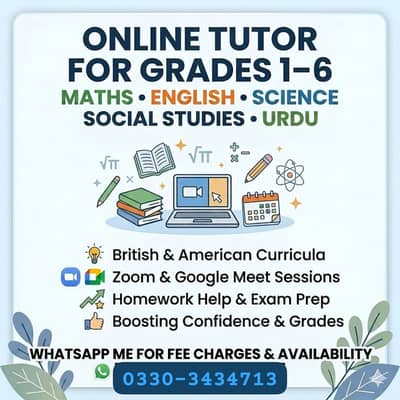 Online Tutor