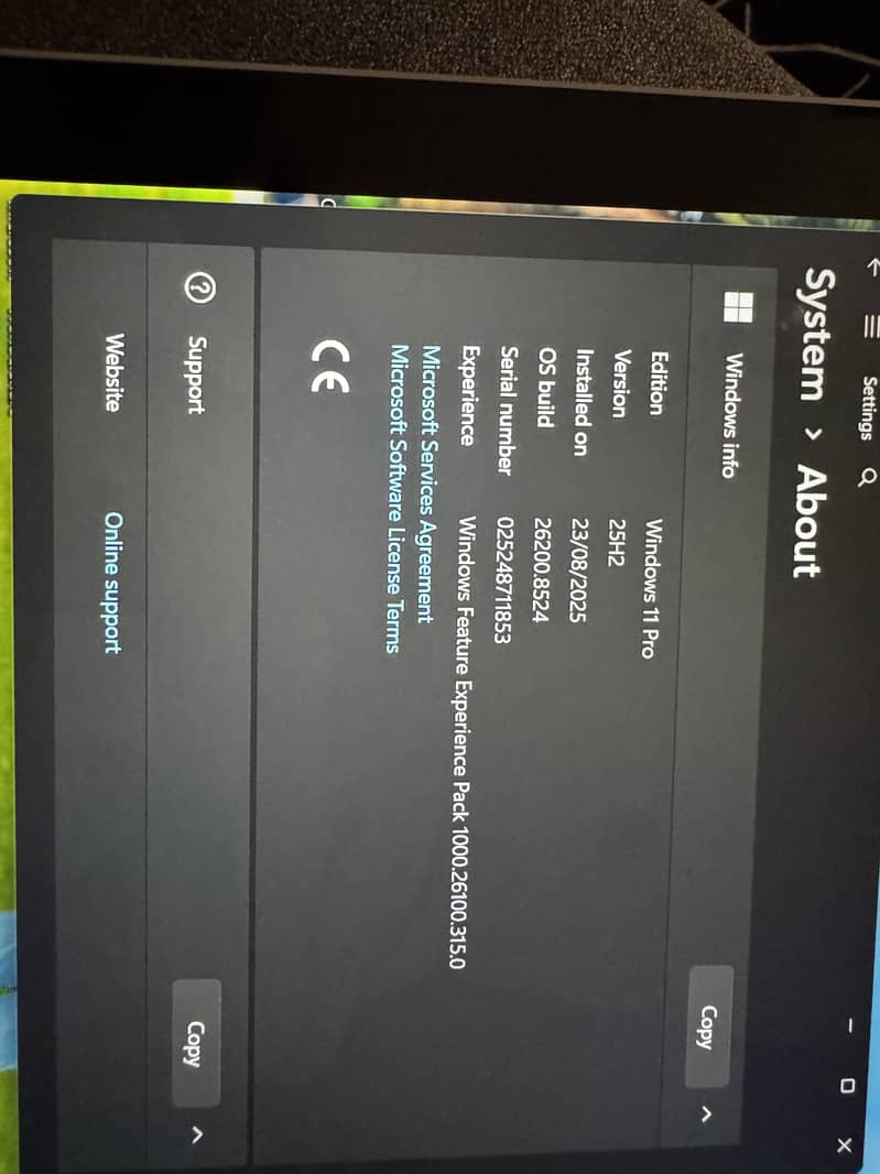 Microsoft 16