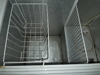 Pel Deep freezer