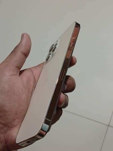 Apple iPhone 12 Pro Max read first