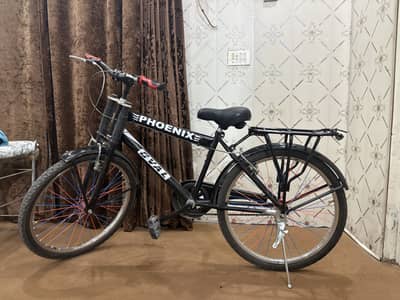 Phoenix 24" bicycle