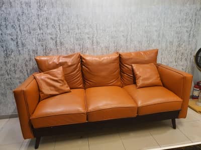 leather Sofas 2 seater