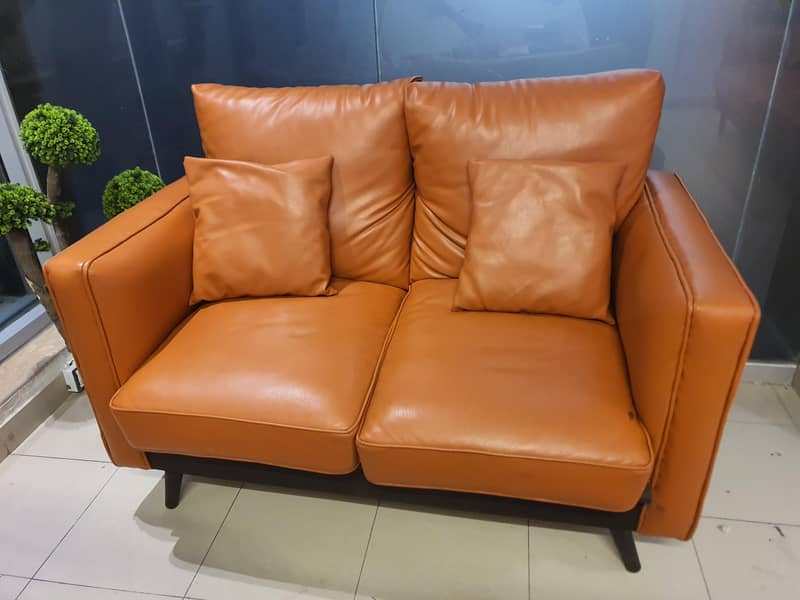 leather Sofas 2 seater 1