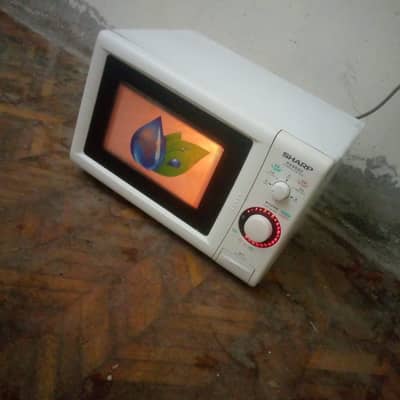 Micro oven