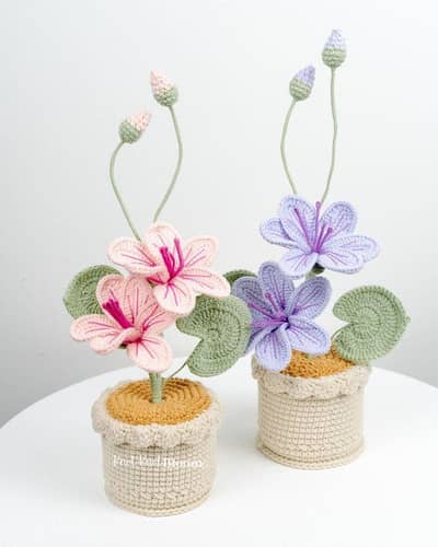 Crochet New things