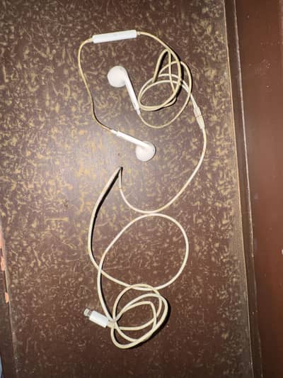 apple