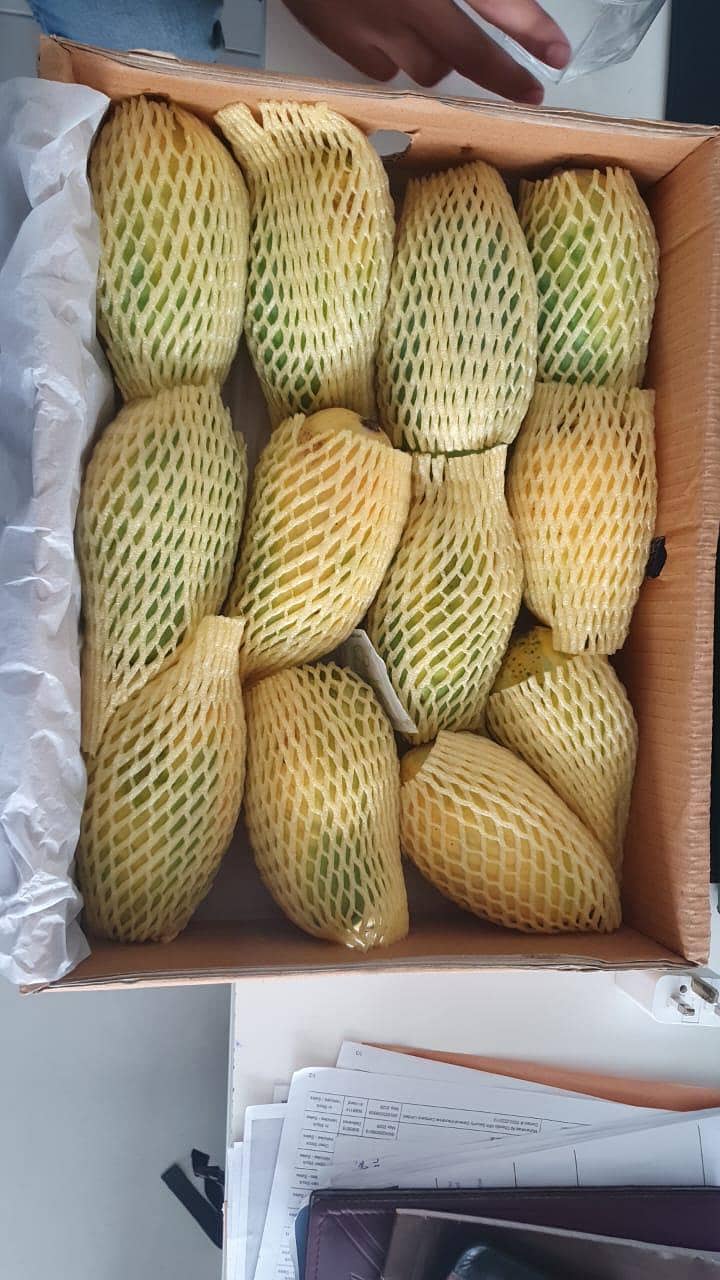 Multani Export Quality Chaunsa 1
