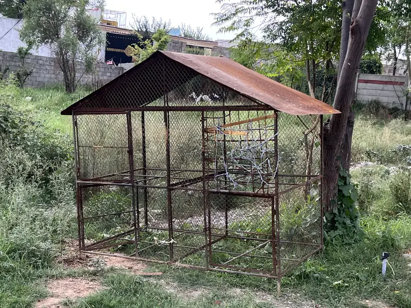 Big Iron Cage for sale