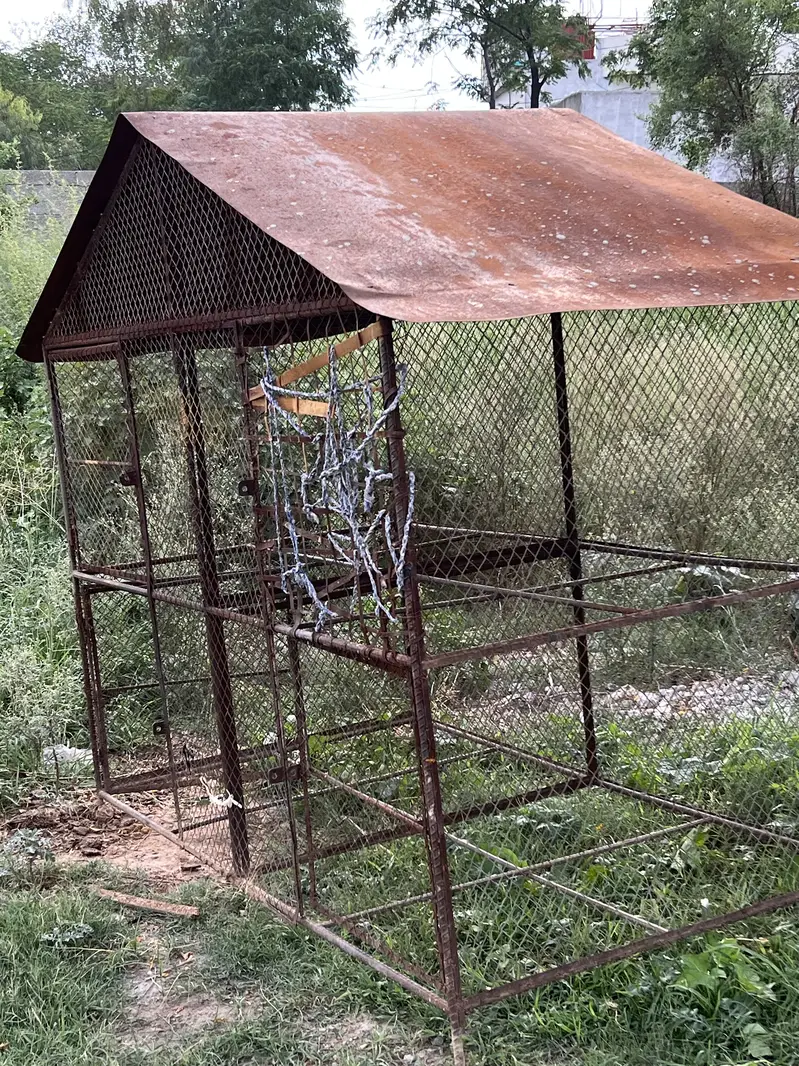 Big Iron Cage for sale — photo 2