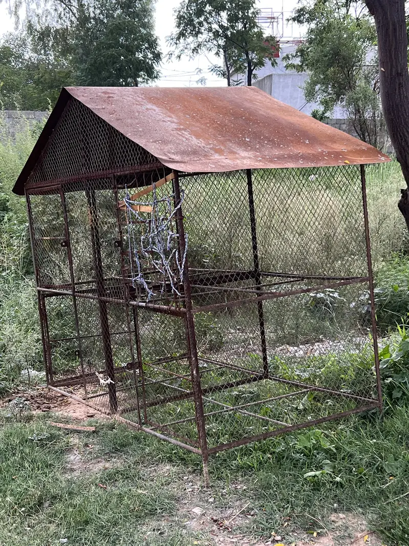 Big Iron Cage for sale — photo 3