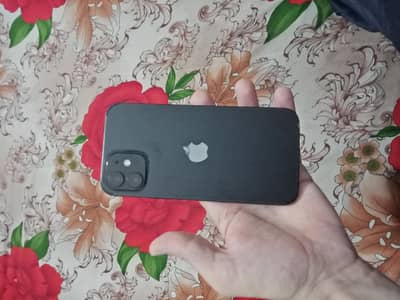 iPhone 12 JV