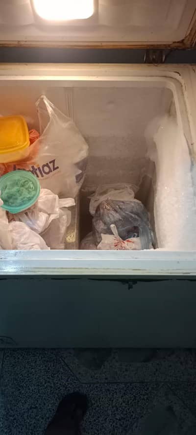 freezer 2 door use m